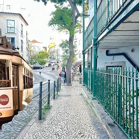 Salvador 36075 Al *